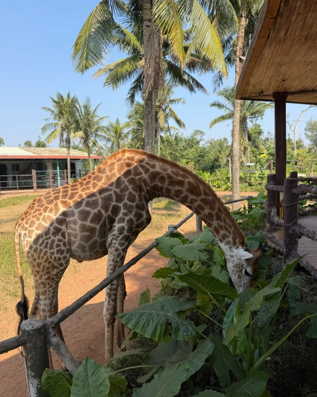 Haikou wildlife park