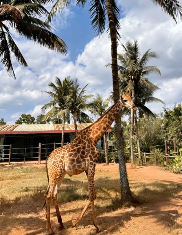 Hainan zoo review