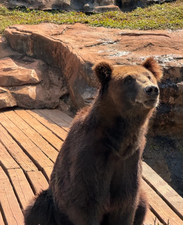 how to visit Hainan wildlife park