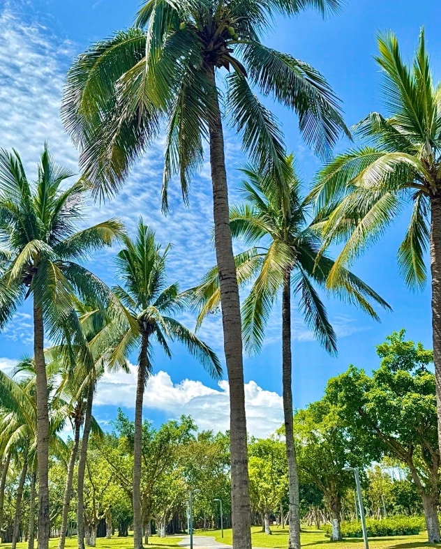 Haikou itinerary 5 days