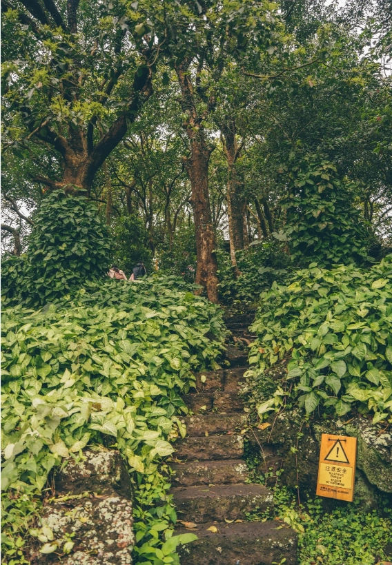 visiting Haikou volcano park