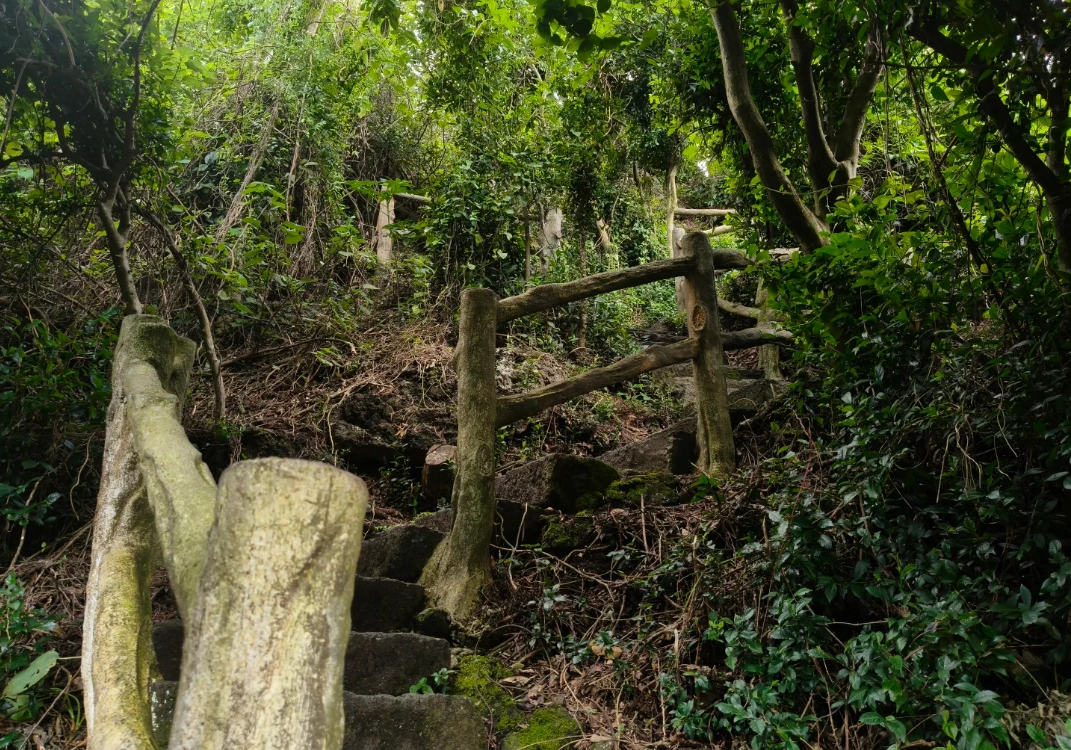 Haikou volcanic crater
