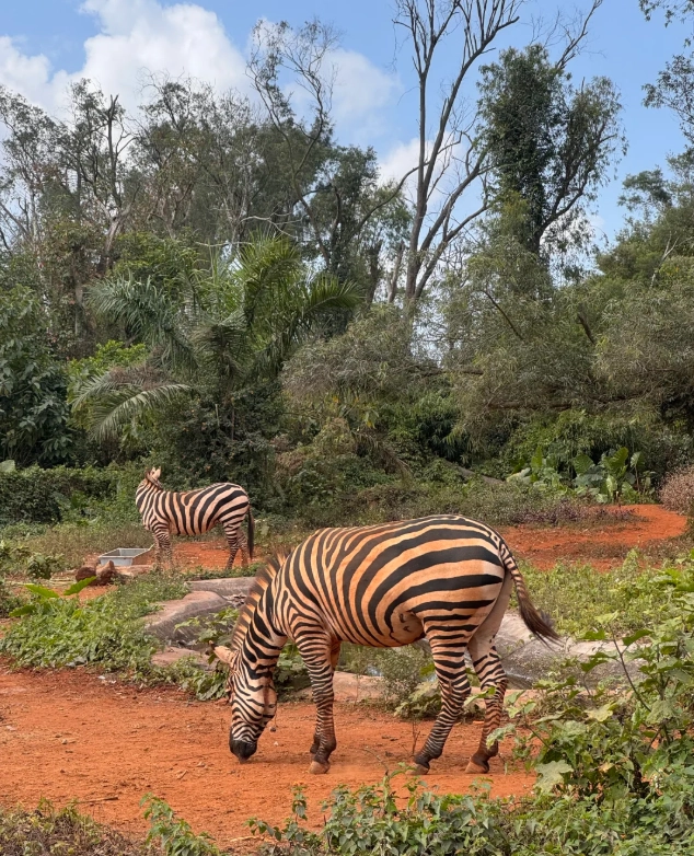 Hainan Tropical Wildlife Park