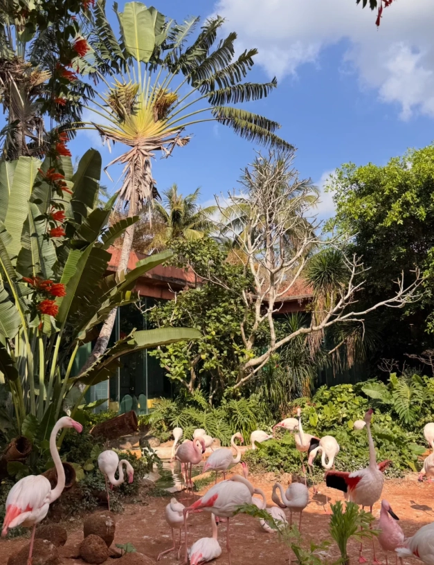 Tropical Wildlife Park Hainan