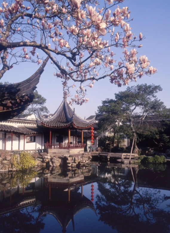Photo of Master of the Nets Garden: how to visit Master of the Nets Garden