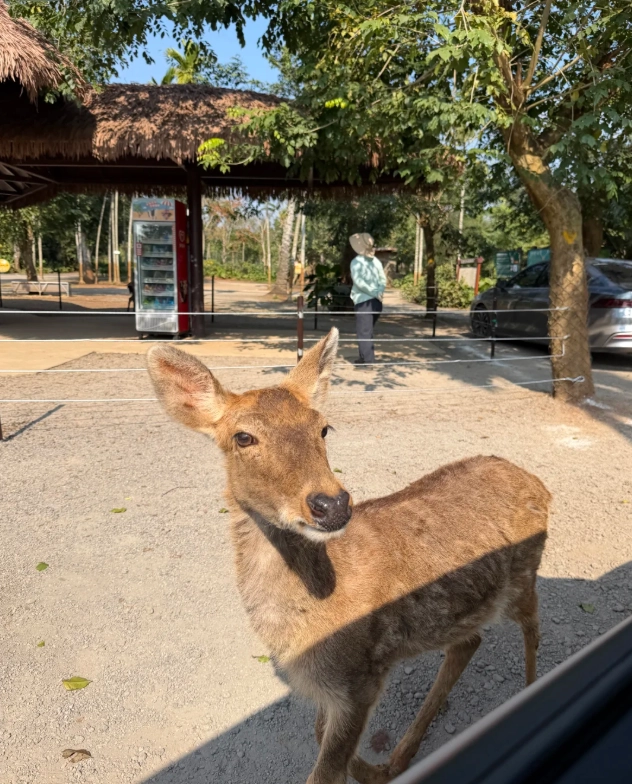 things to do in Haikou