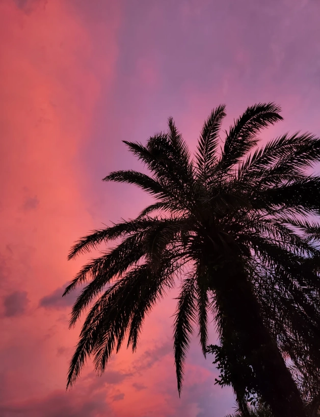 things to do in Haikou