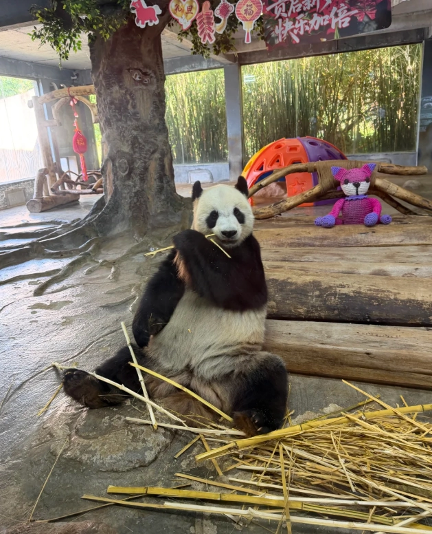 Hainan Tropical Wildlife Park
