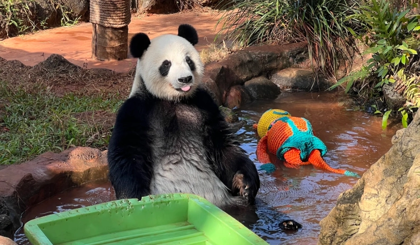 Hainan Tropical Wildlife Park