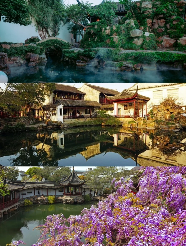 Photo of Master of the Nets Garden: Master of the Nets Garden