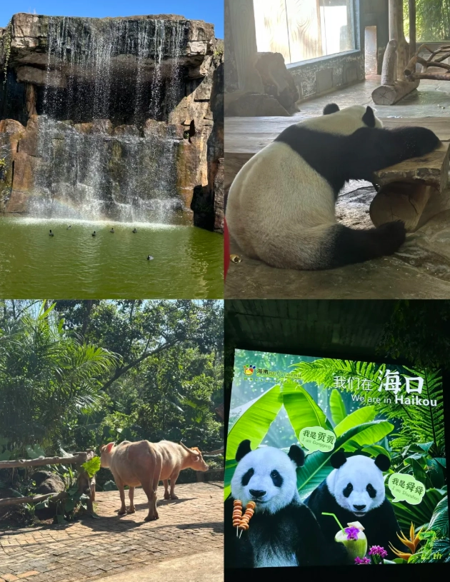 Hainan Tropical Wildlife Park: Insider Tips for a Perfect Visit