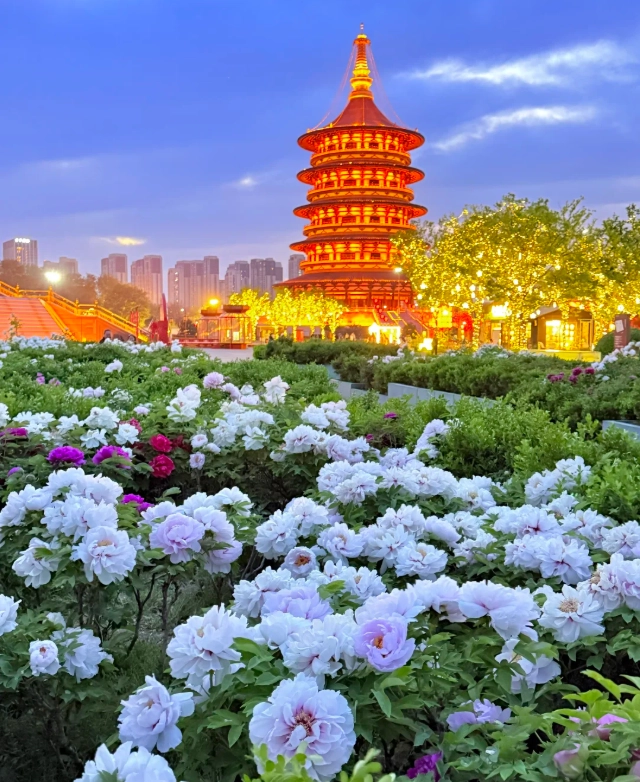 Shaolin Temple day trip