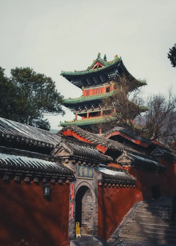 shaolin temple tour from luoyang