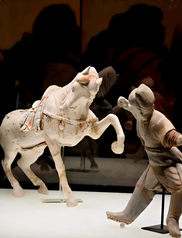 Luoyang Museum guided tour