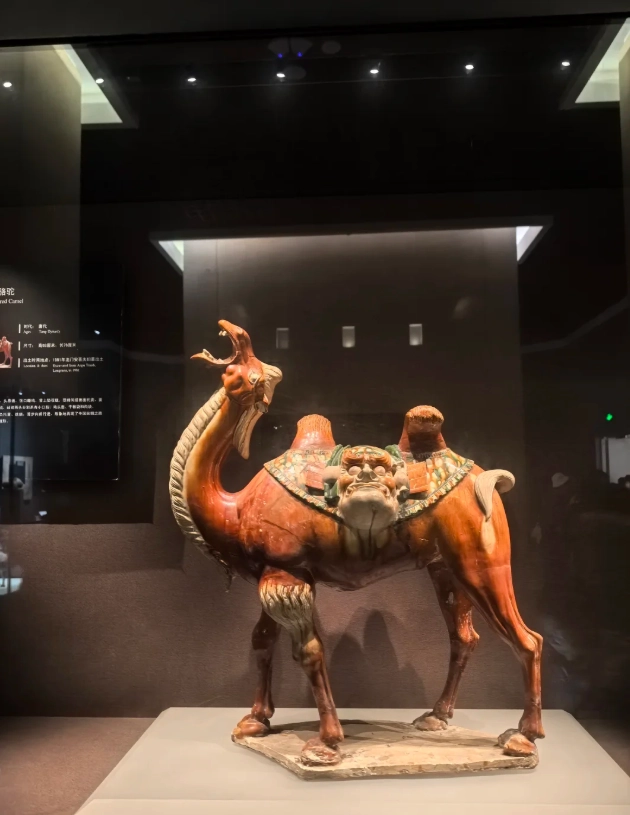 what to see in Luoyang Museum