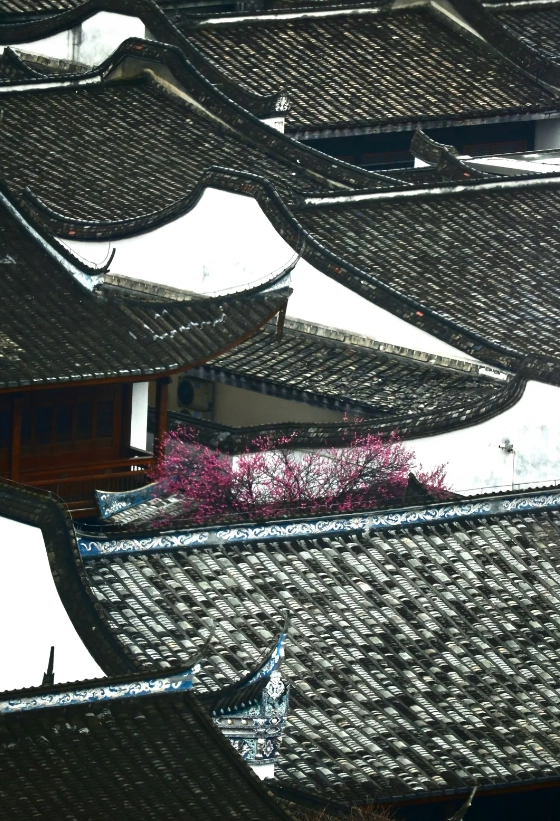 visit Fuzhou historic alleys visit Fuzhou historic alleys