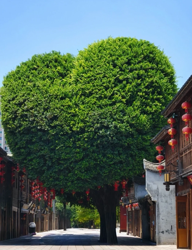 Fuzhou travel guide Fuzhou travel guide