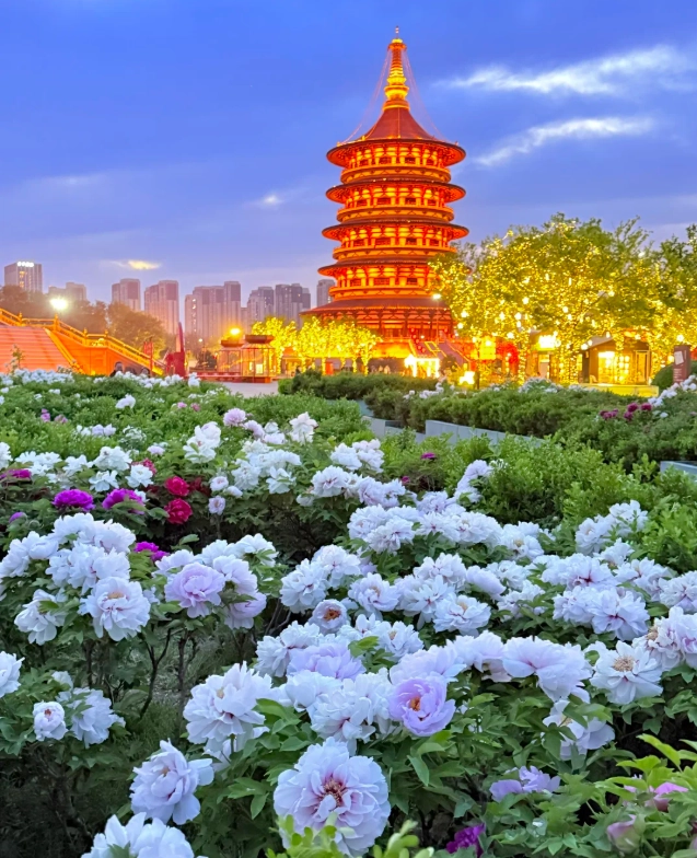 things to do in Luoyang