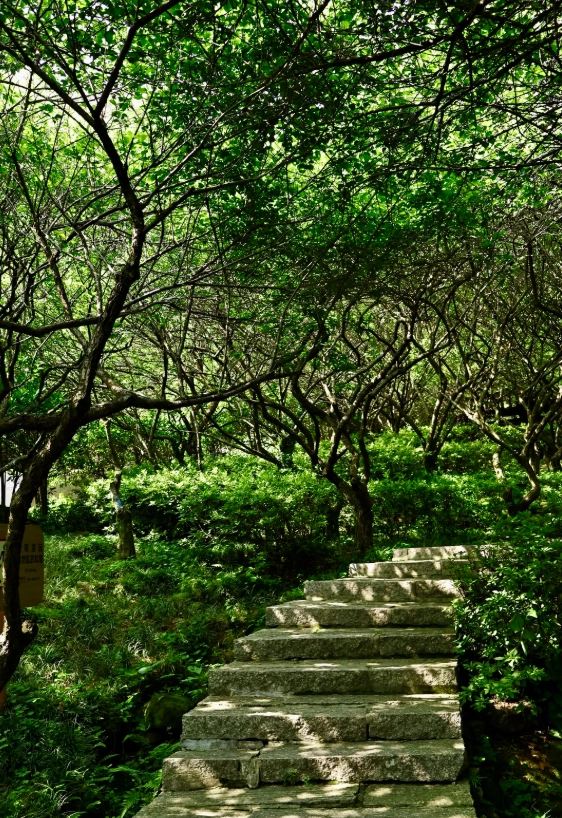 Fuzhou 3 days itinerary Fuzhou 3 days itinerary
