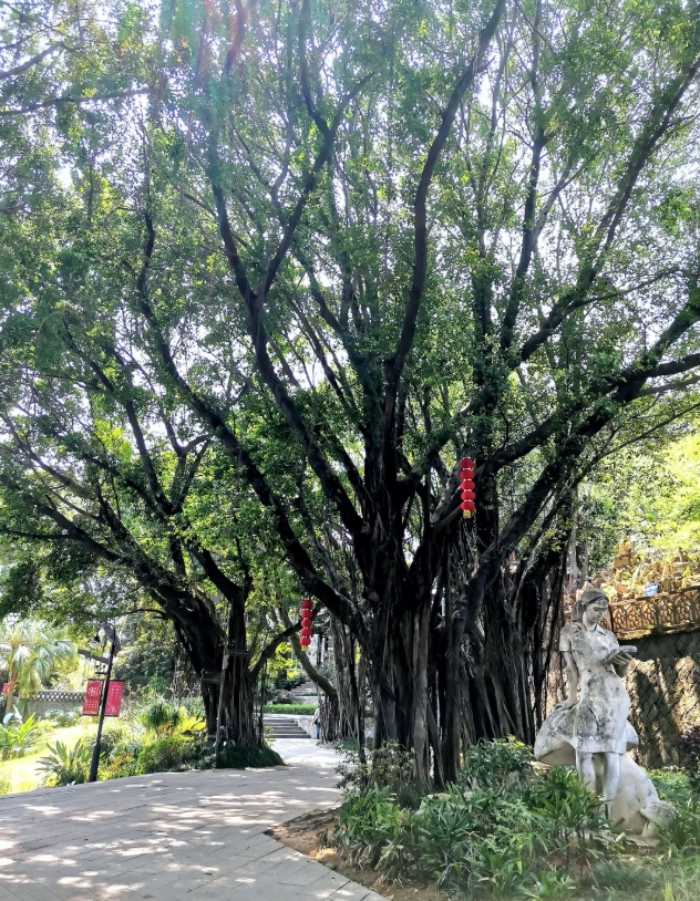 things to do in Fuzhou things to do in Fuzhou