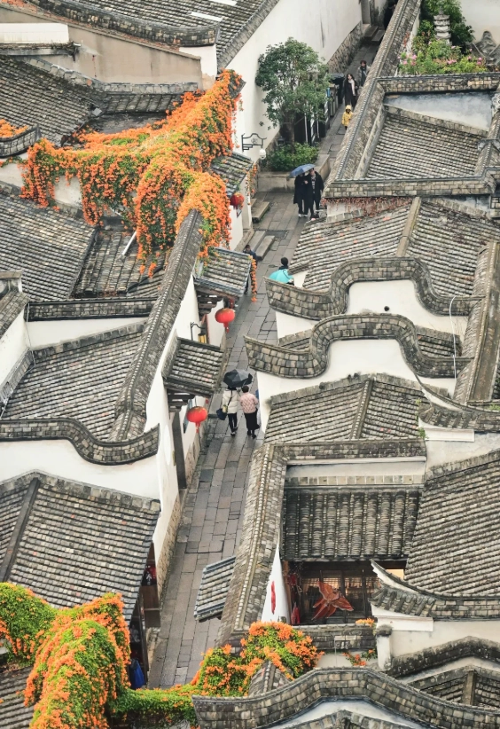 Three Lanes and Seven Alleys: Insider Tips to Skip Crowds