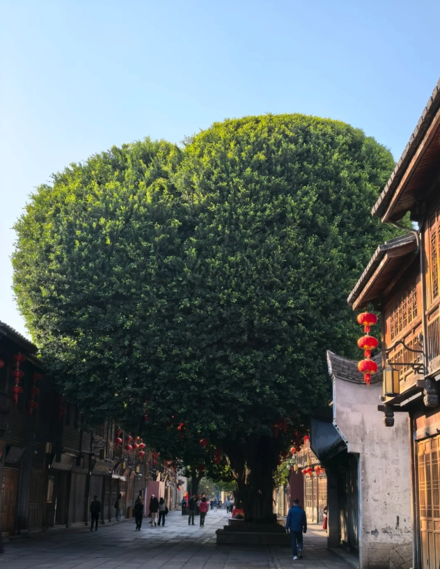 Fuzhou travel Fuzhou travel