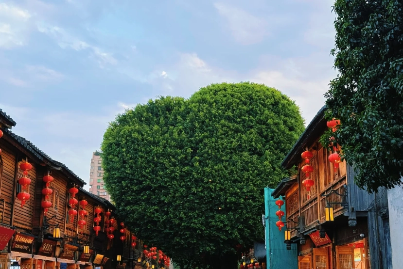 5 Days in Fuzhou: Insider Itinerary for First-Timers