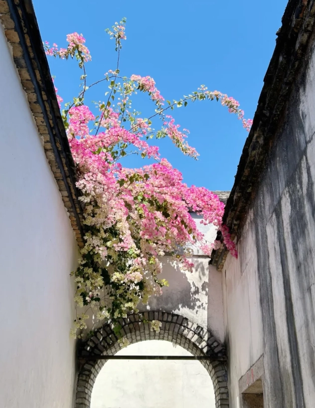 things to do in Fuzhou things to do in Fuzhou