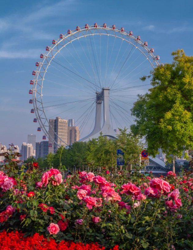 Tianjin things to do