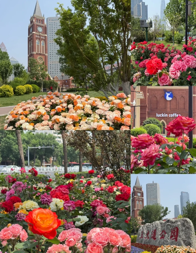 tianjin travel tips
