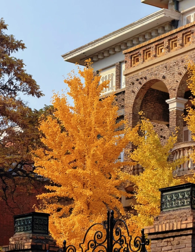 Tianjin attractions Tianjin attractions