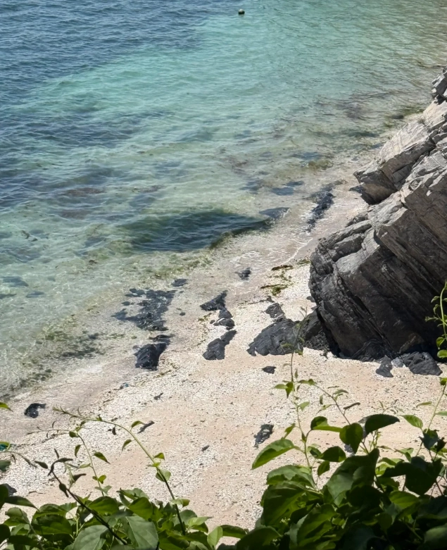 Golden Pebble Beach best time Golden Pebble Beach best time