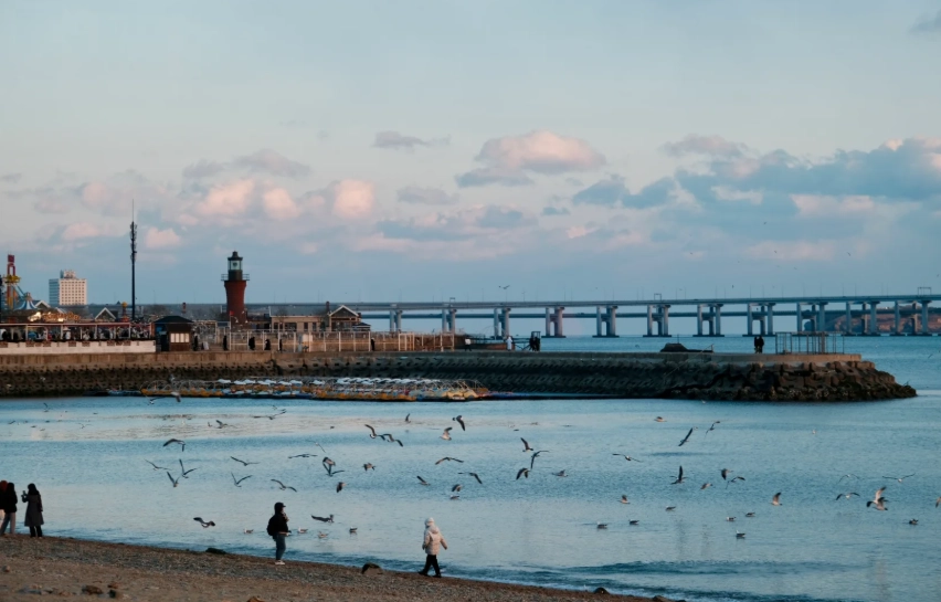 Dalian seasonal attractions