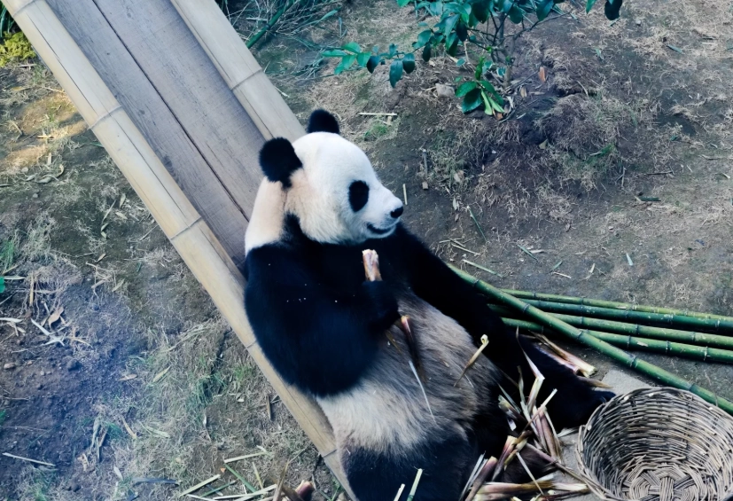 things to do in Dalian things to do in Dalian