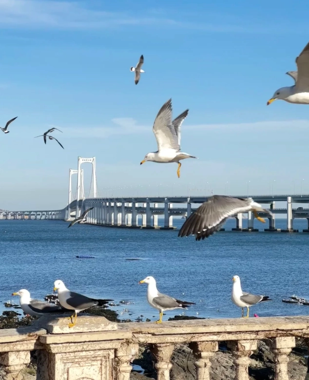 is Binhai Road worth visiting is Binhai Road worth visiting