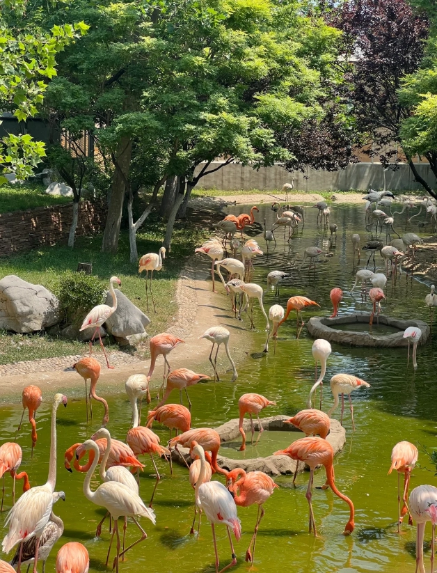 Dalian Forest Zoo opening hours Dalian Forest Zoo opening hours