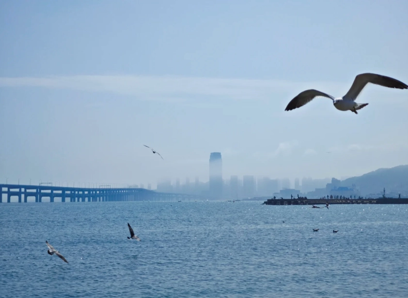 Dalian travel guide Dalian travel guide