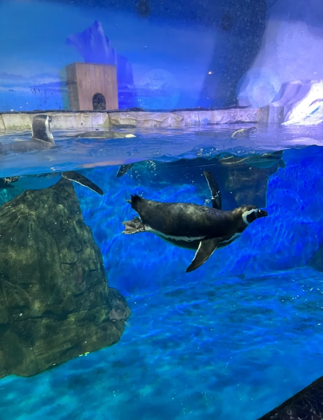 Dalian Forest Zoo best time to visit Dalian Forest Zoo best time to visit
