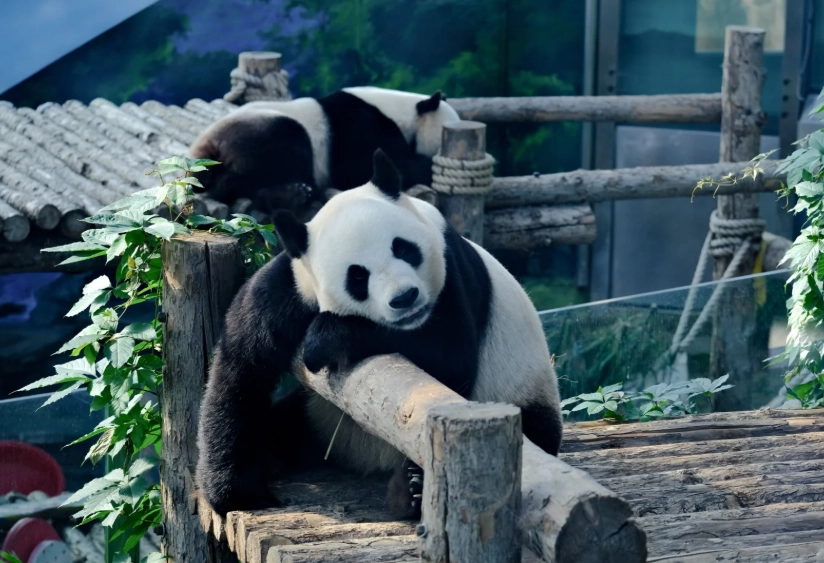 Dalian attractions Dalian attractions