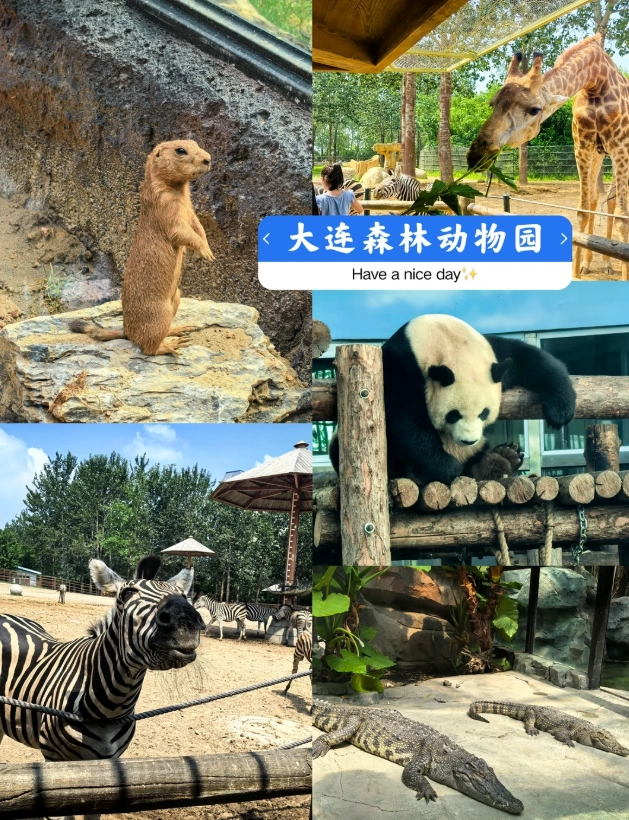 is Dalian Zoo good