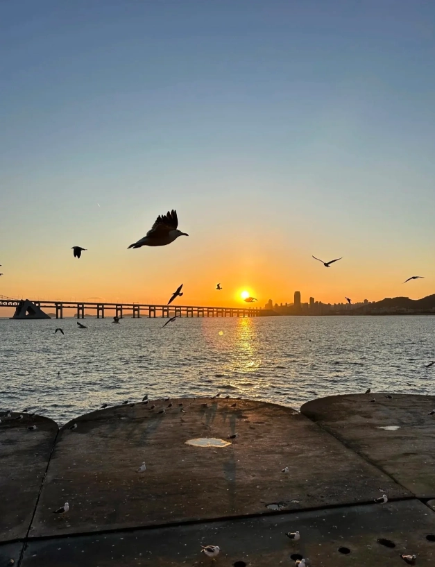 Xinghai Square history Xinghai Square history