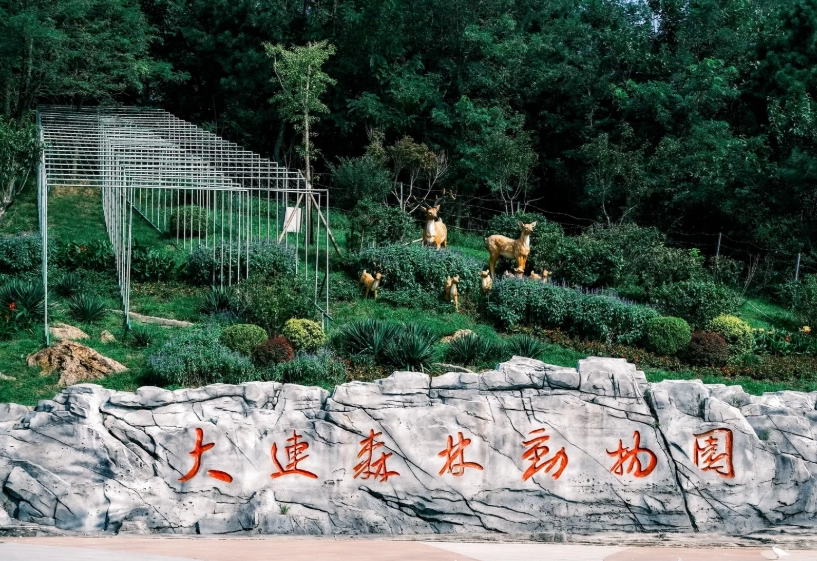 Dalian zoo Dalian zoo