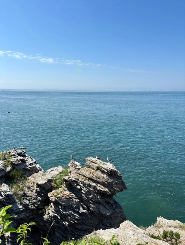Golden Pebble Beach geopark tips Golden Pebble Beach geopark tips