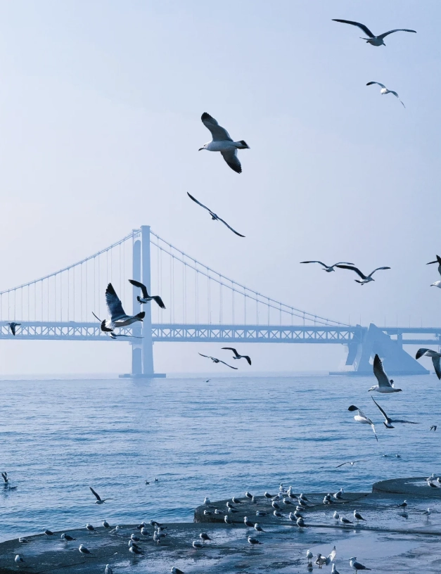 Dalian travel guide Dalian travel guide