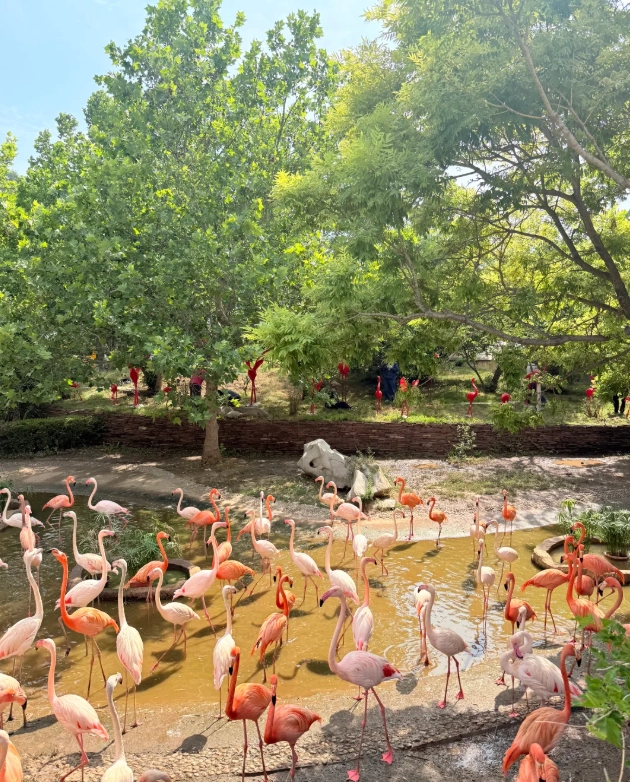 Dalian itinerary from Beijing Dalian itinerary from Beijing
