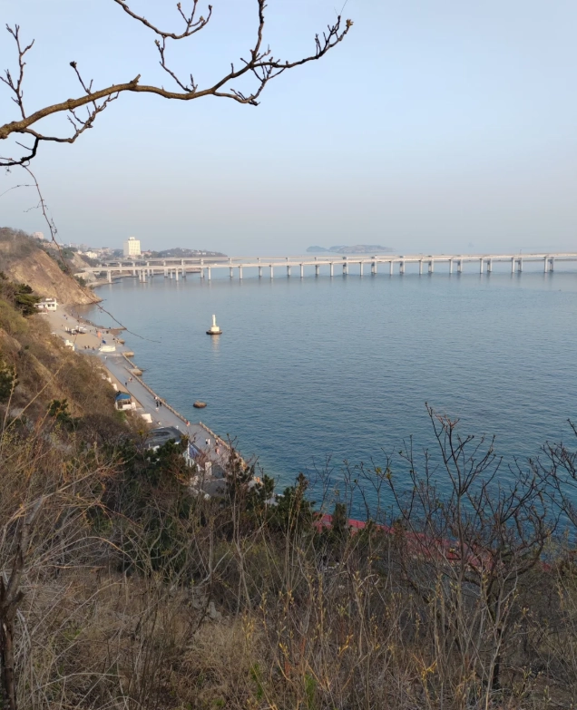 Photo of Binhai Road: Dalian travel
