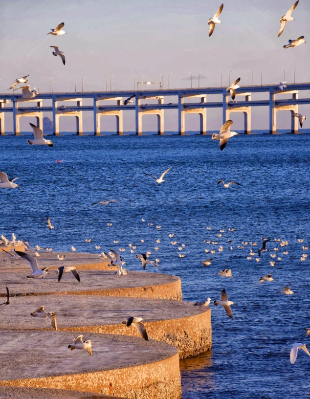 is Xinghai Square worth it is Xinghai Square worth it
