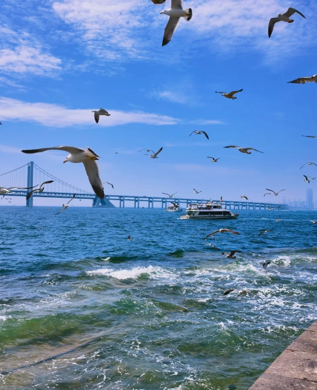 Xinghai Square worth visiting? 5 things to know before you go
