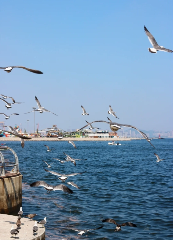 things to do in Dalian things to do in Dalian