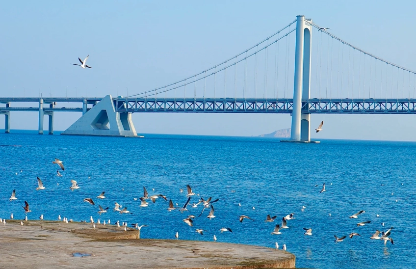 Classic Dalian Itinerary: 3 Days of Coastal Charm & Culture